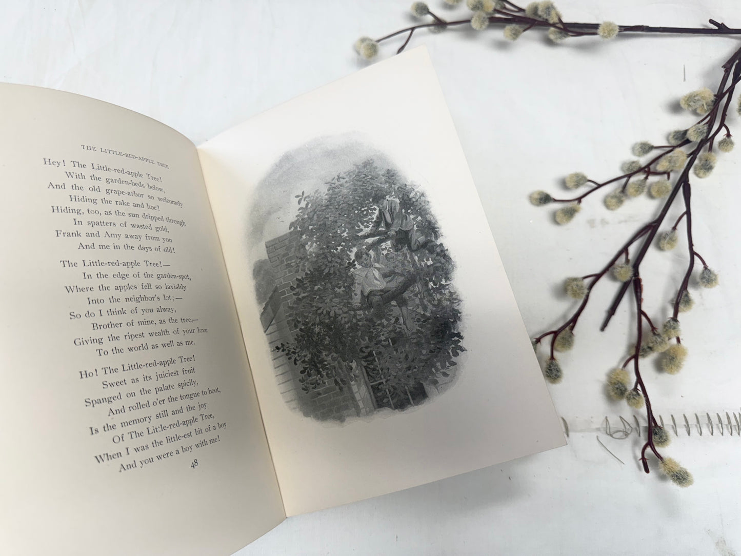 Riley Songs O'Cheer- Pretty Book