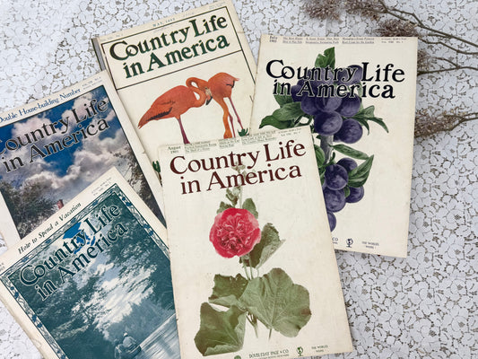 Country Life Magazine Covers (Covers Only)