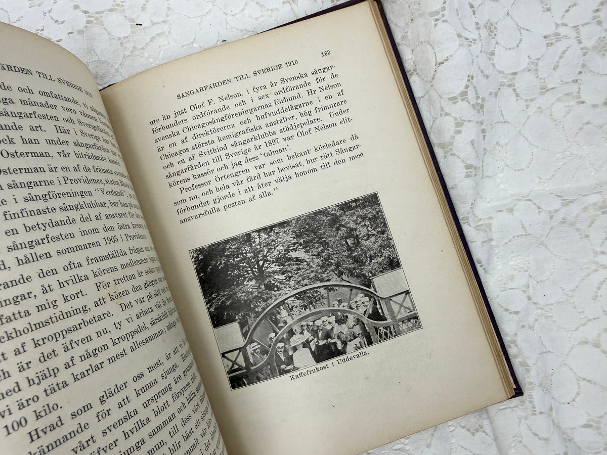Foreign Language Book Set