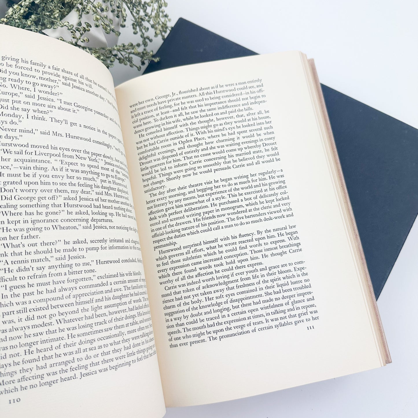 Sister Carrie by Theodore Dreiser