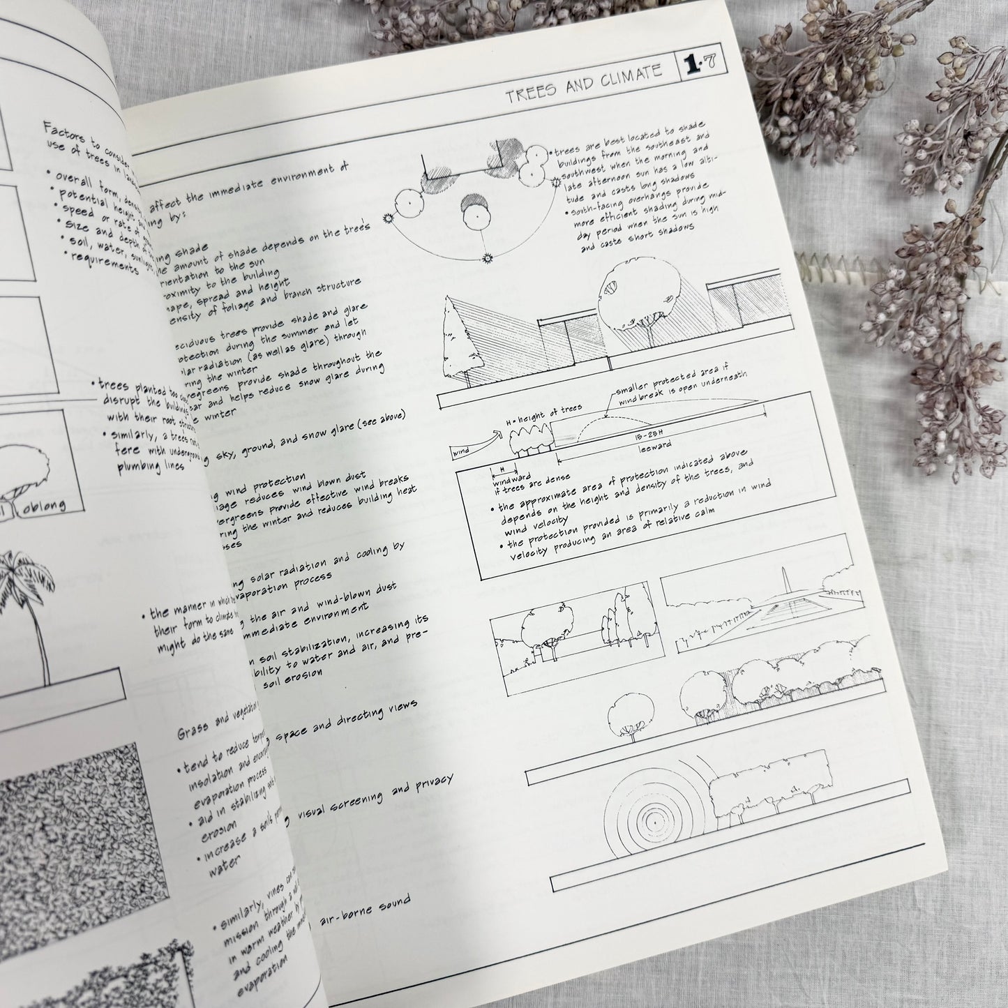 Illustrated Construction