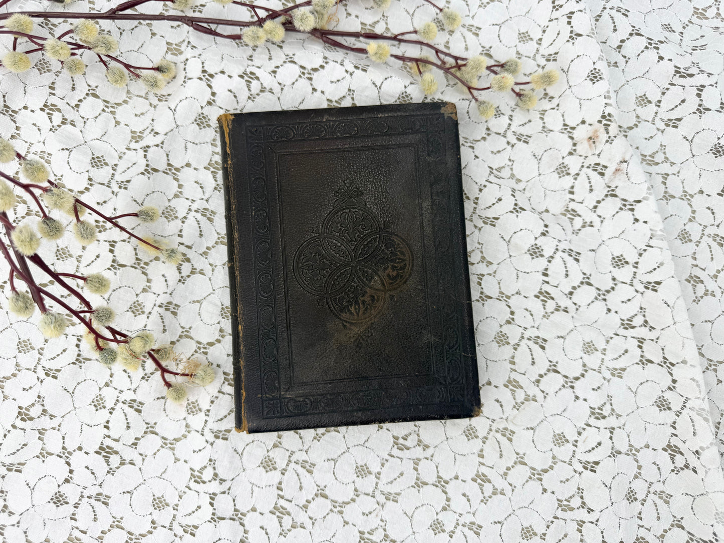 Illustrated Evangeline Book