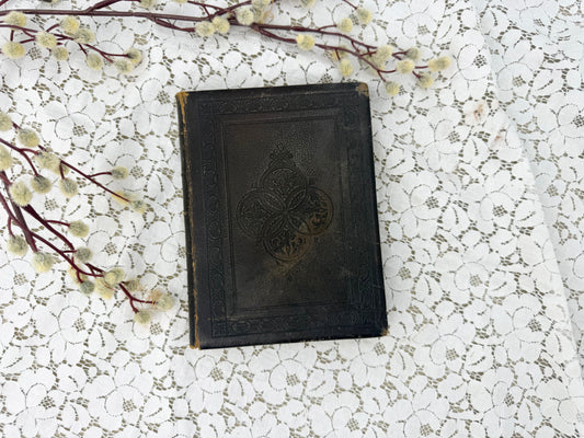 Illustrated Evangeline Book