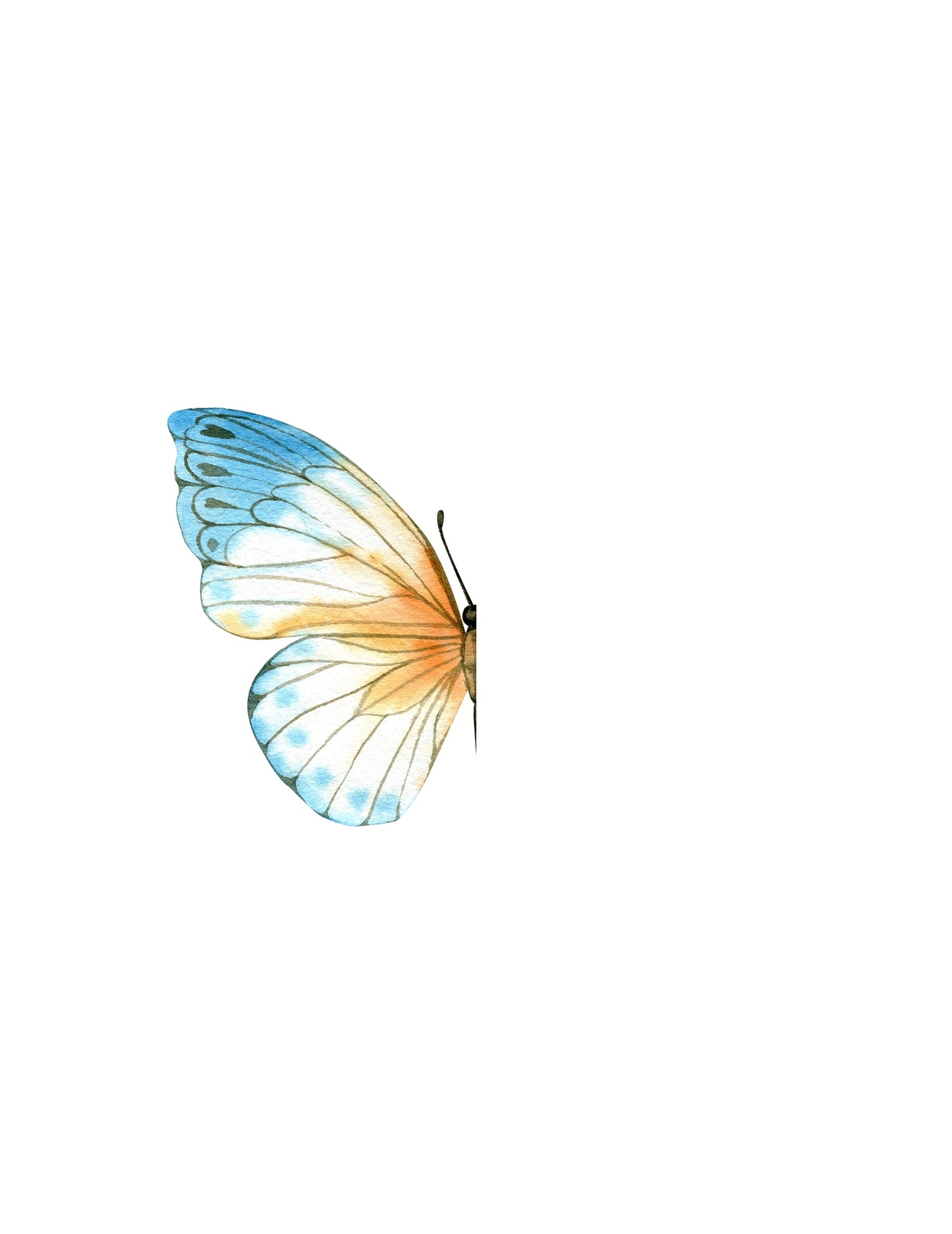 Art Prompt Kit- Butterfly