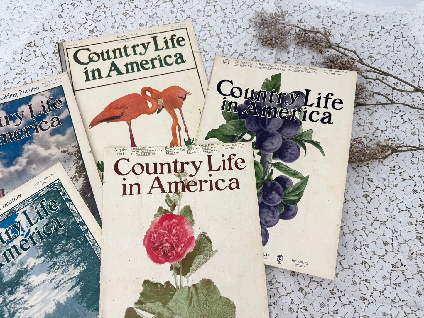 Country Life Magazine Covers (Covers Only)