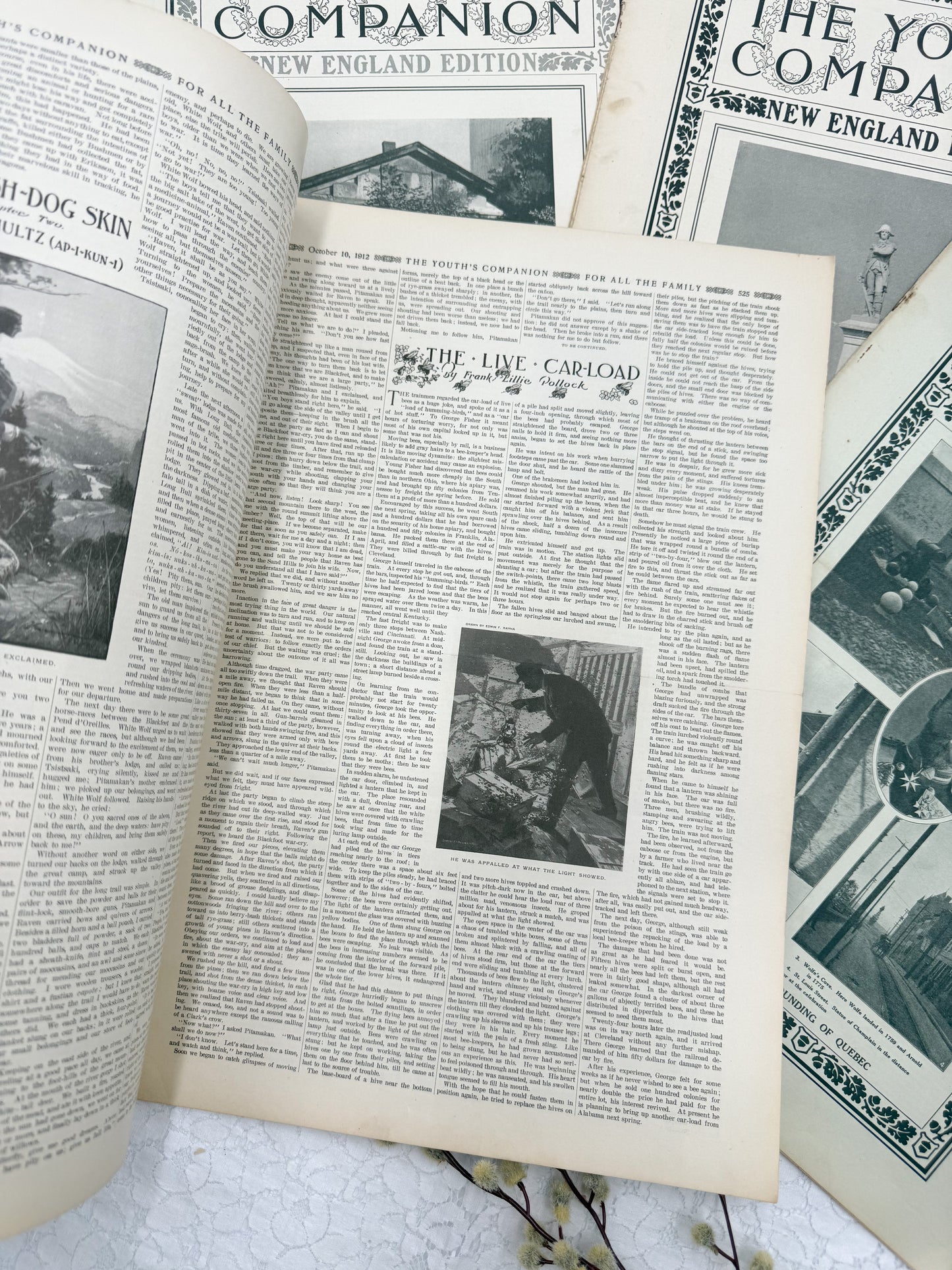 Youth Companion Magazine Set