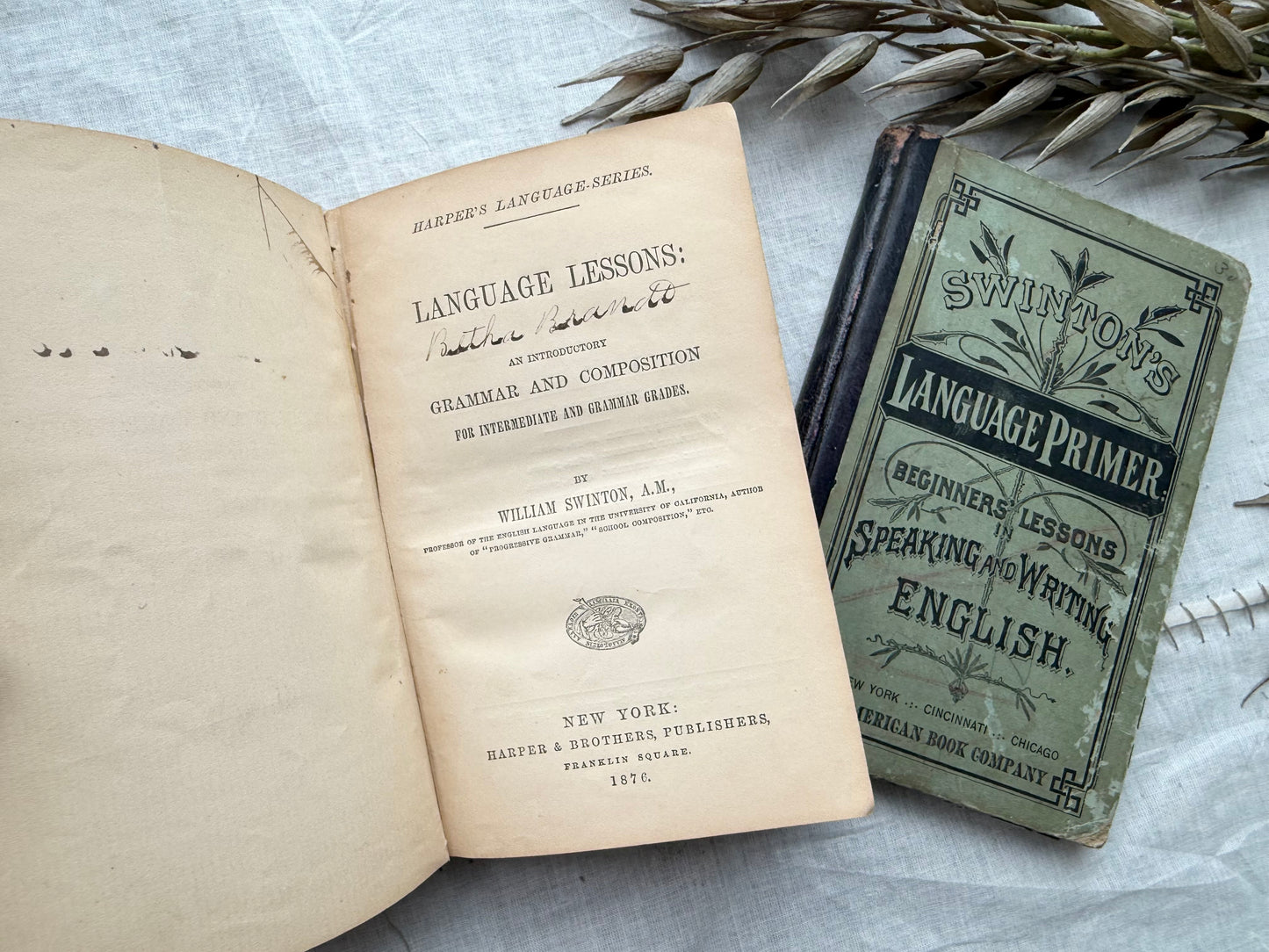 Vintage Textbooks