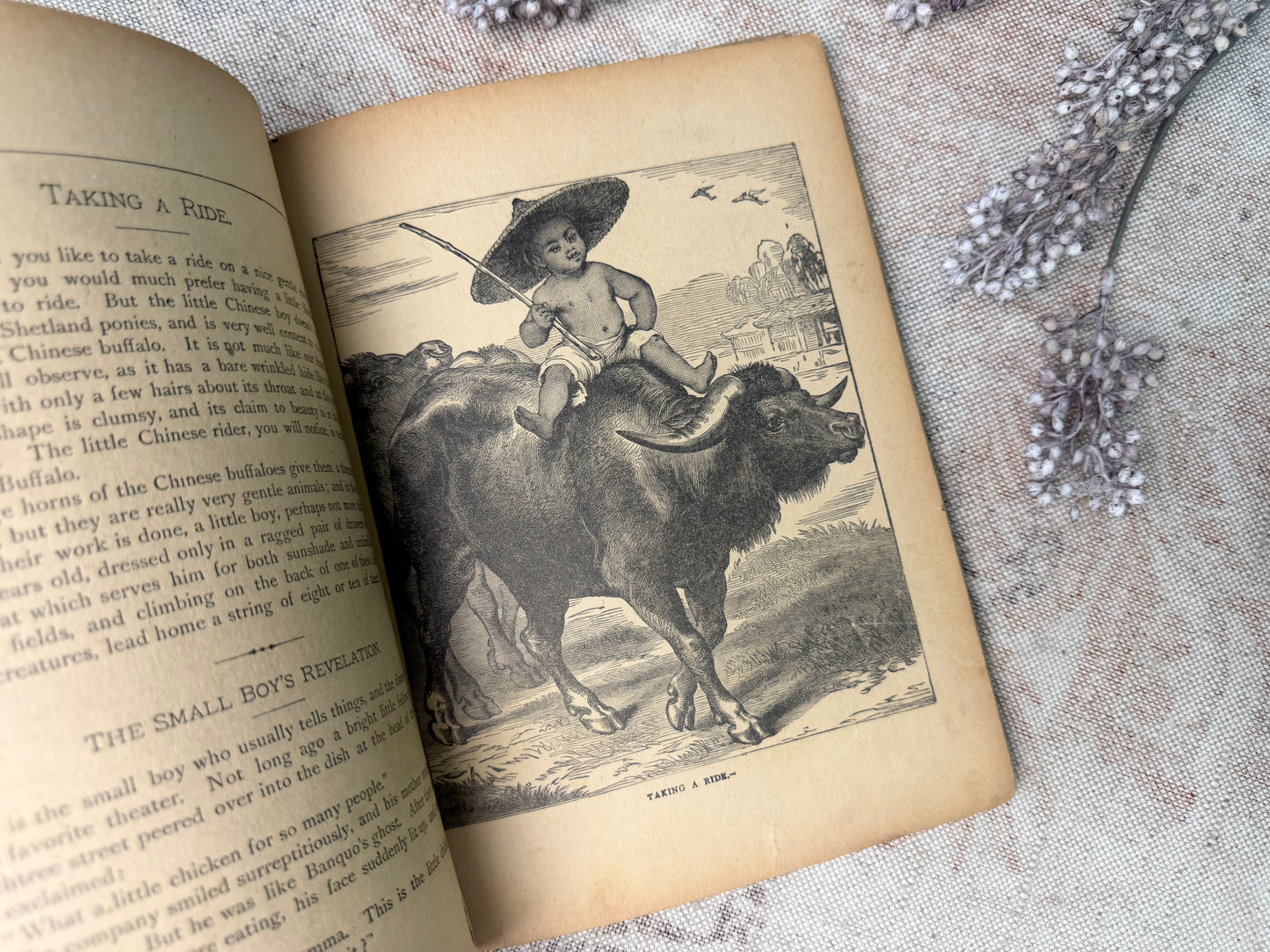 Vintage Children's Book
