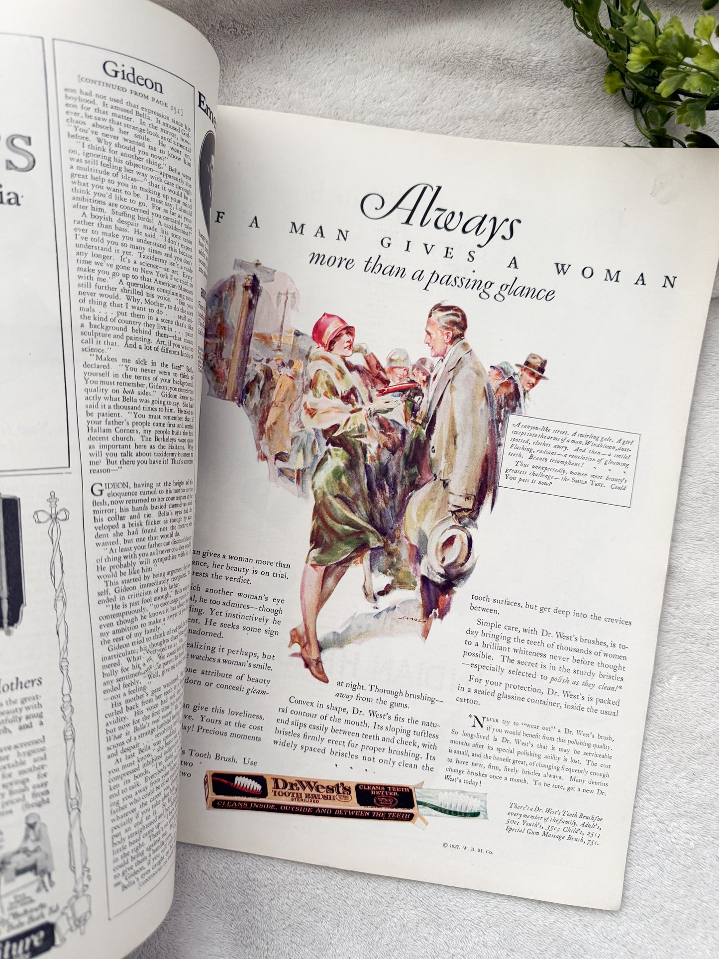 Vintage Woman's Home Companion Magazine