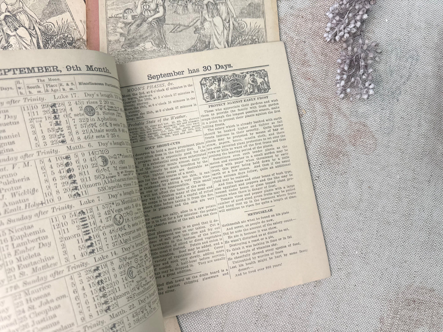 Vintage Almanac Set