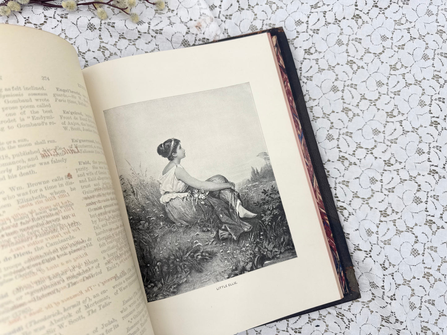 Illustrated Book (4 Different Volumes Available)