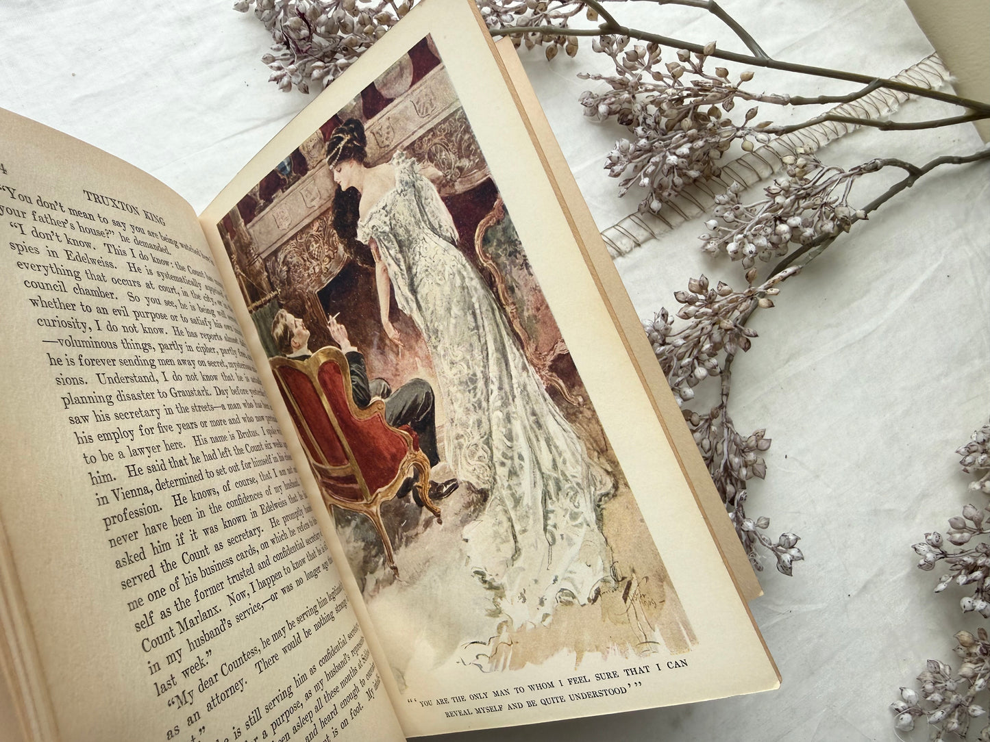 Vintage Book Set with Illustrations