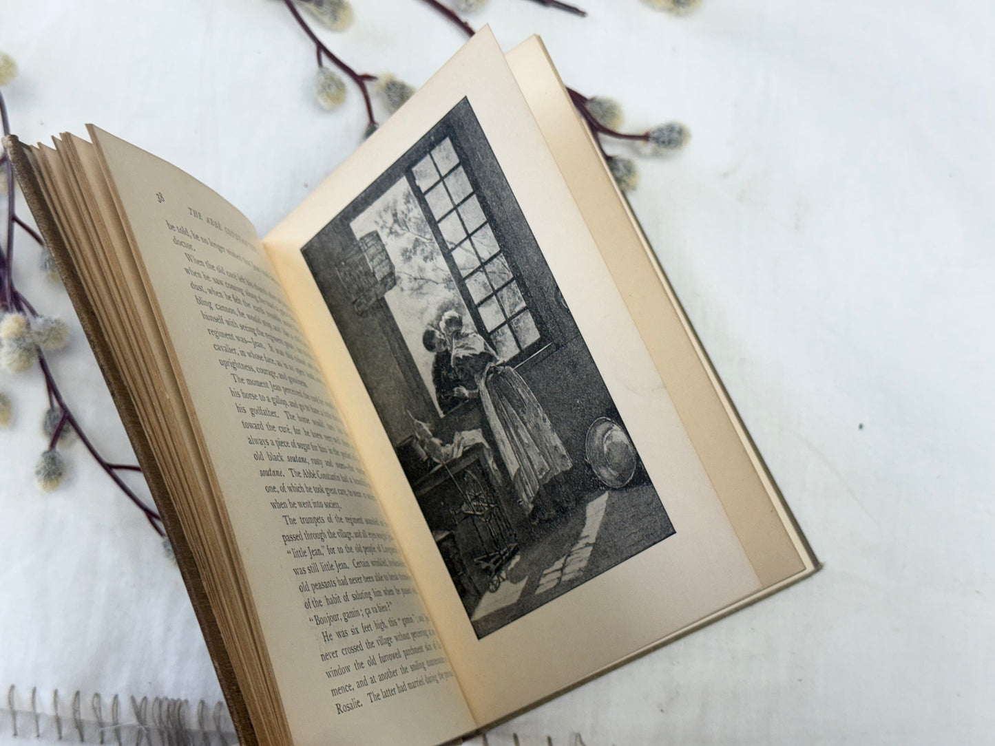 The Abbe Constantin- Pretty Book with Illustrations