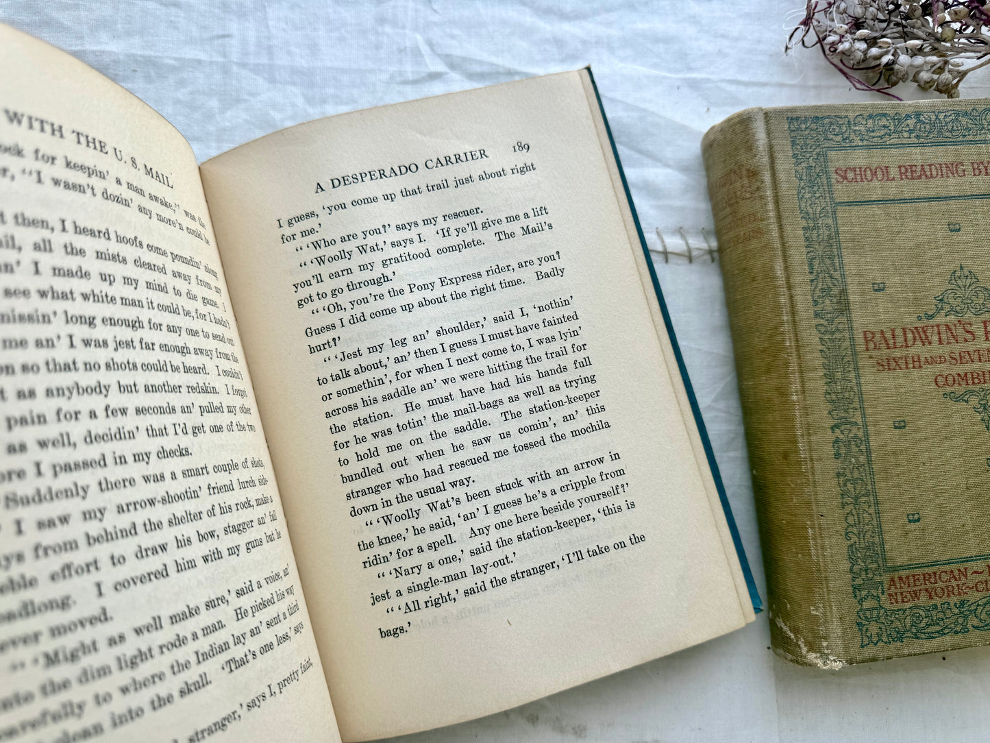 Vintage School Book Set