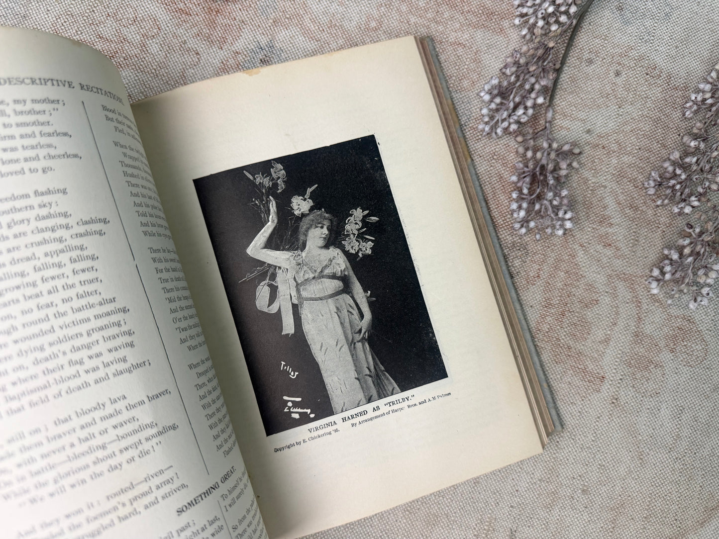 Vintage Book