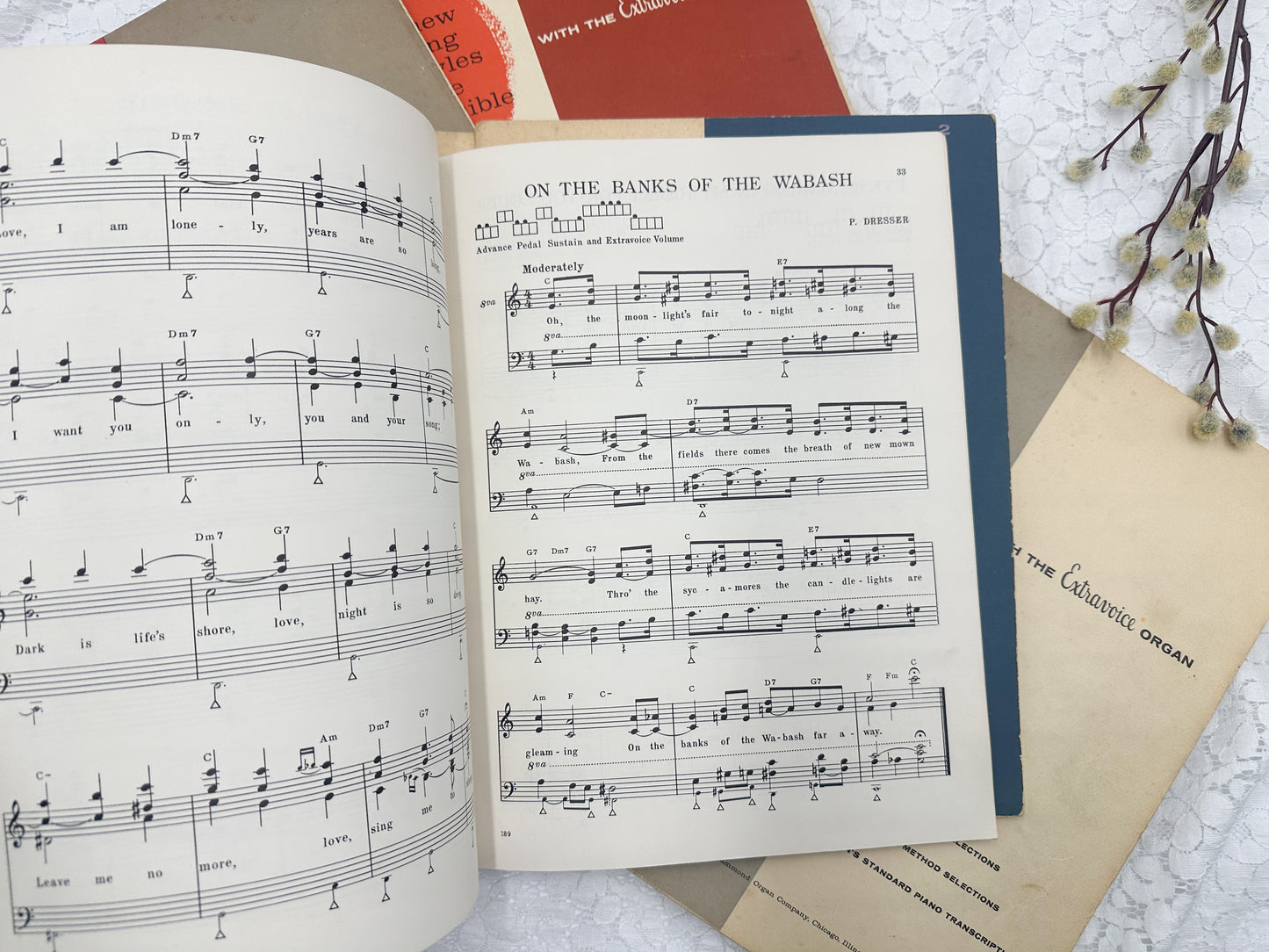 Vintage Music Book Collection