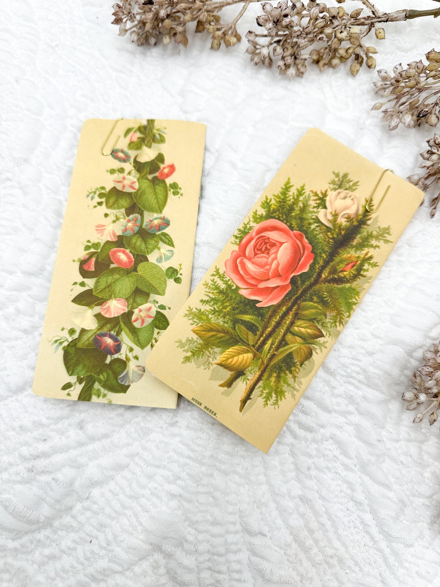 Pocket Booklet Project Template Digital Download