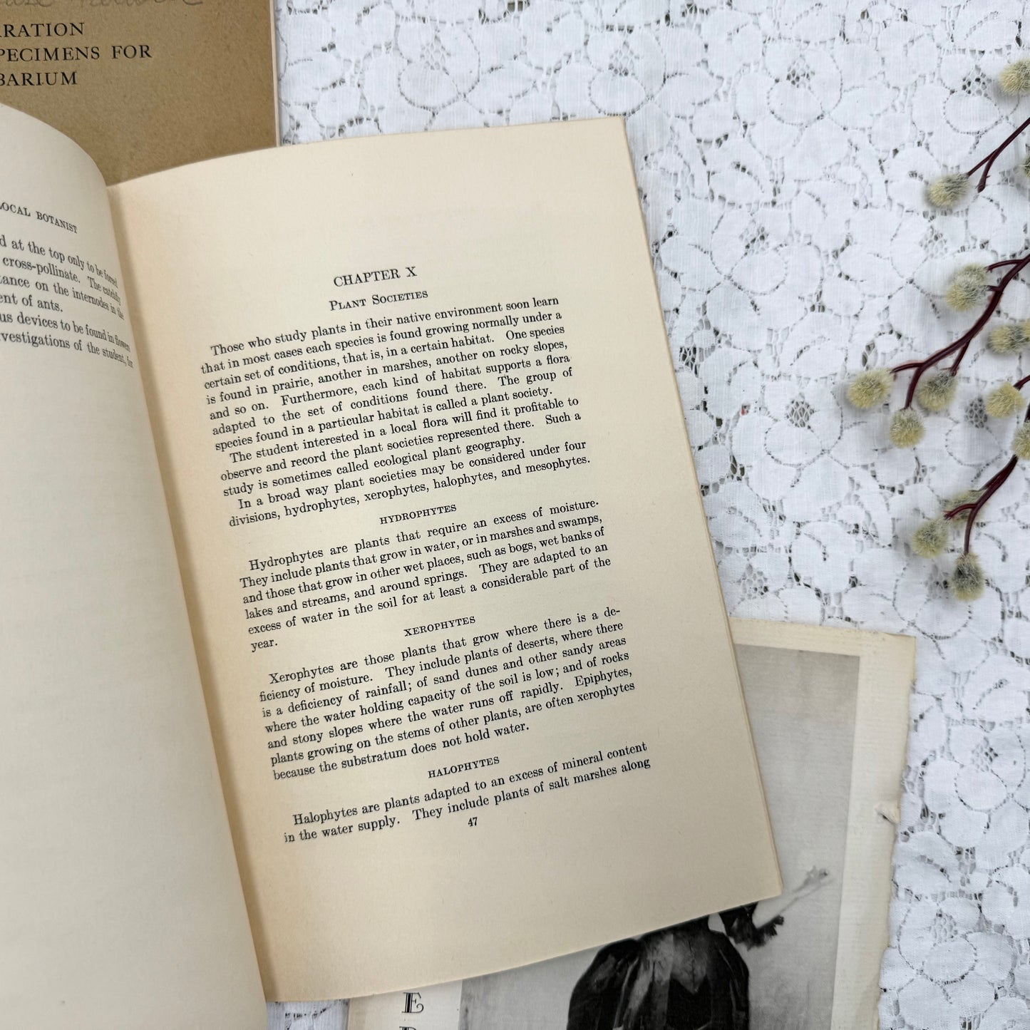 Botany Booklets