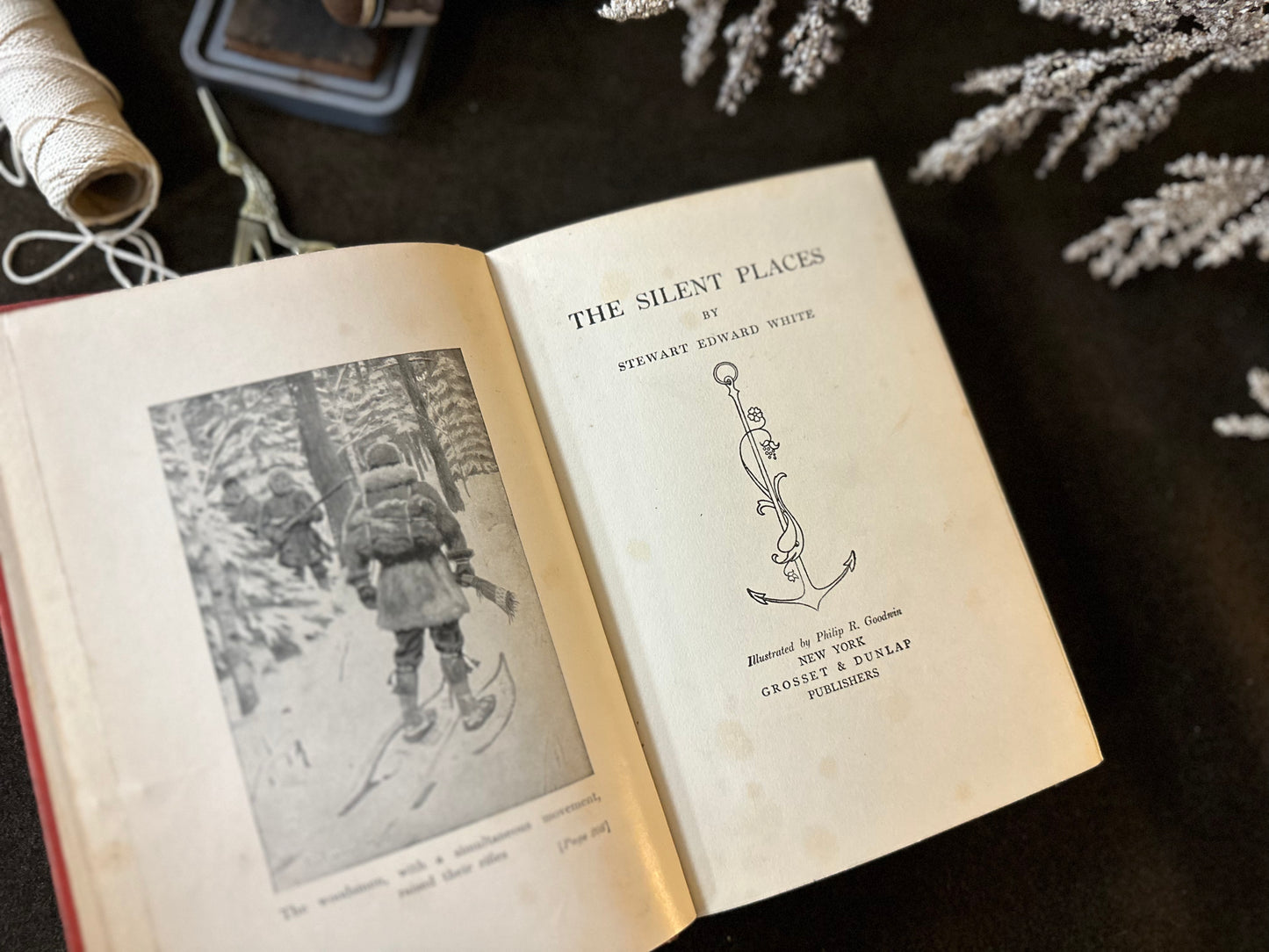 Beautiful Vintage Book