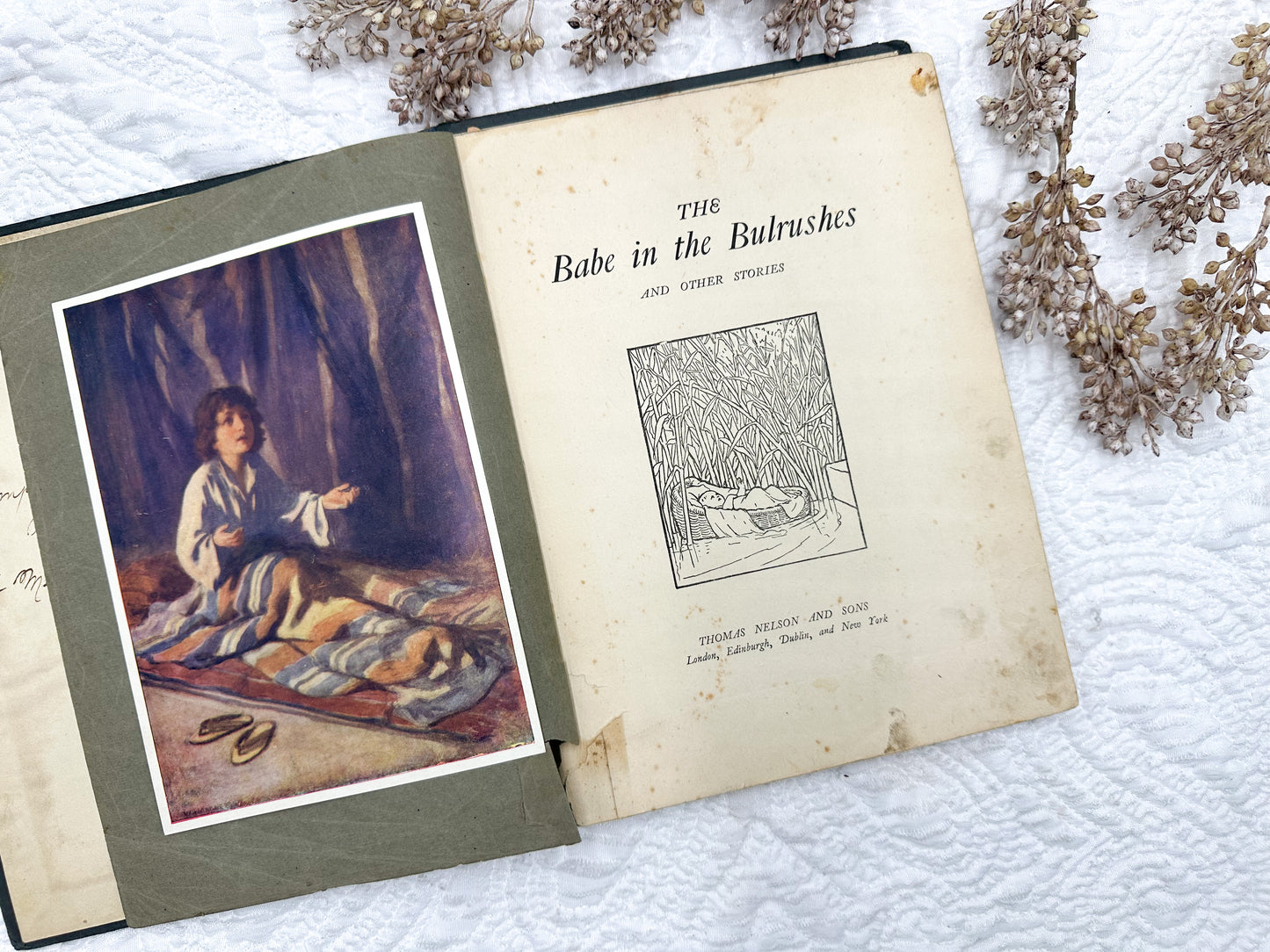 The Babe in the Bulrushes