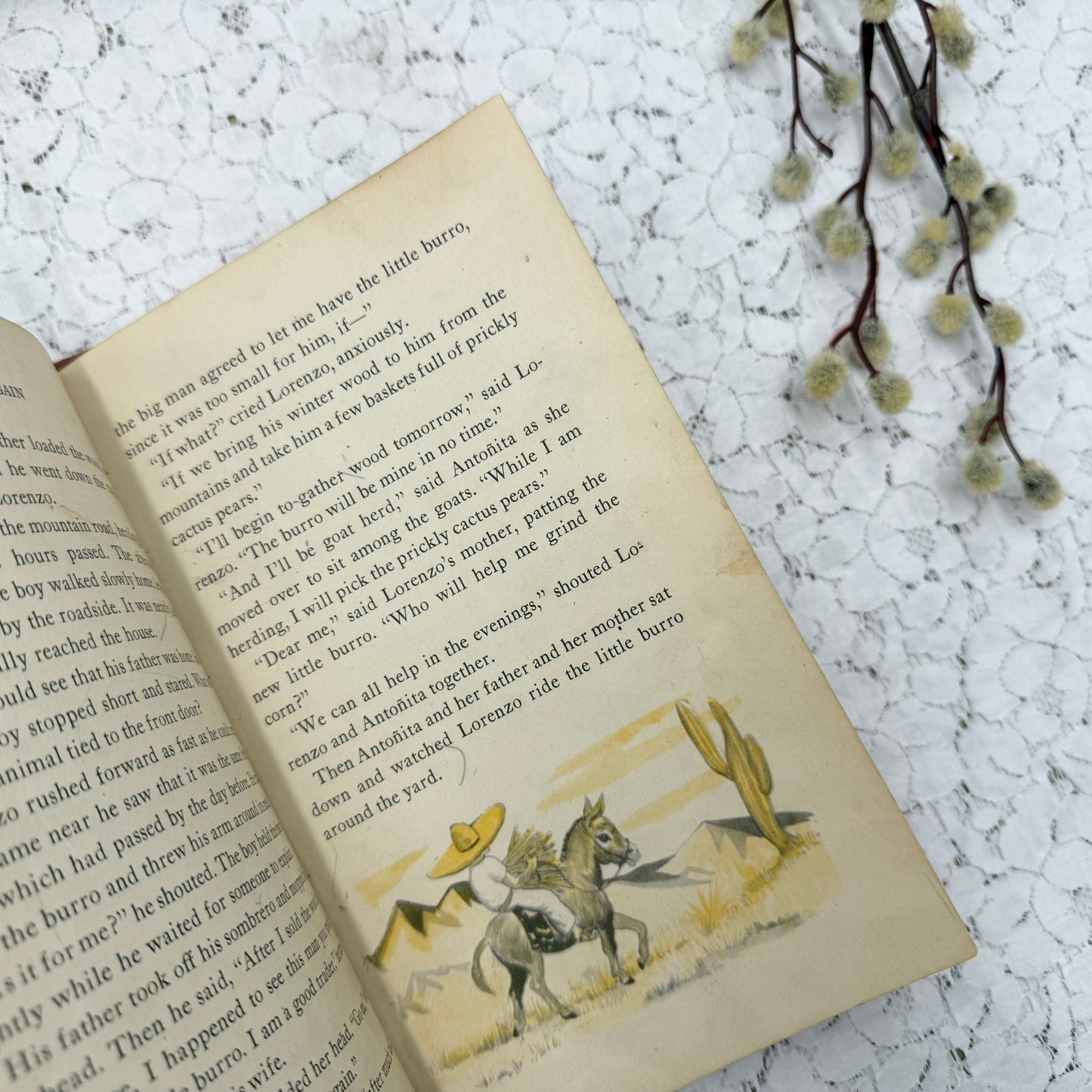 Vintage Book Set