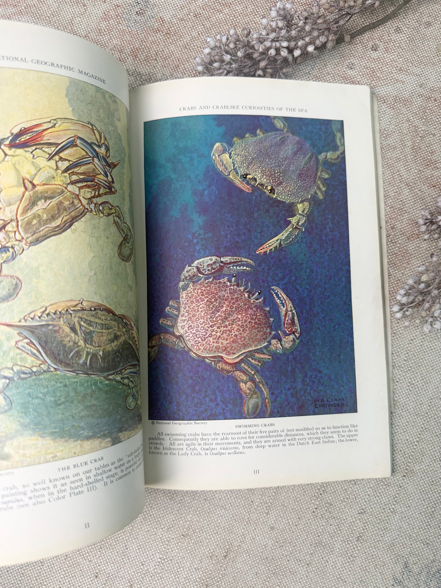 National Geographic Magazine