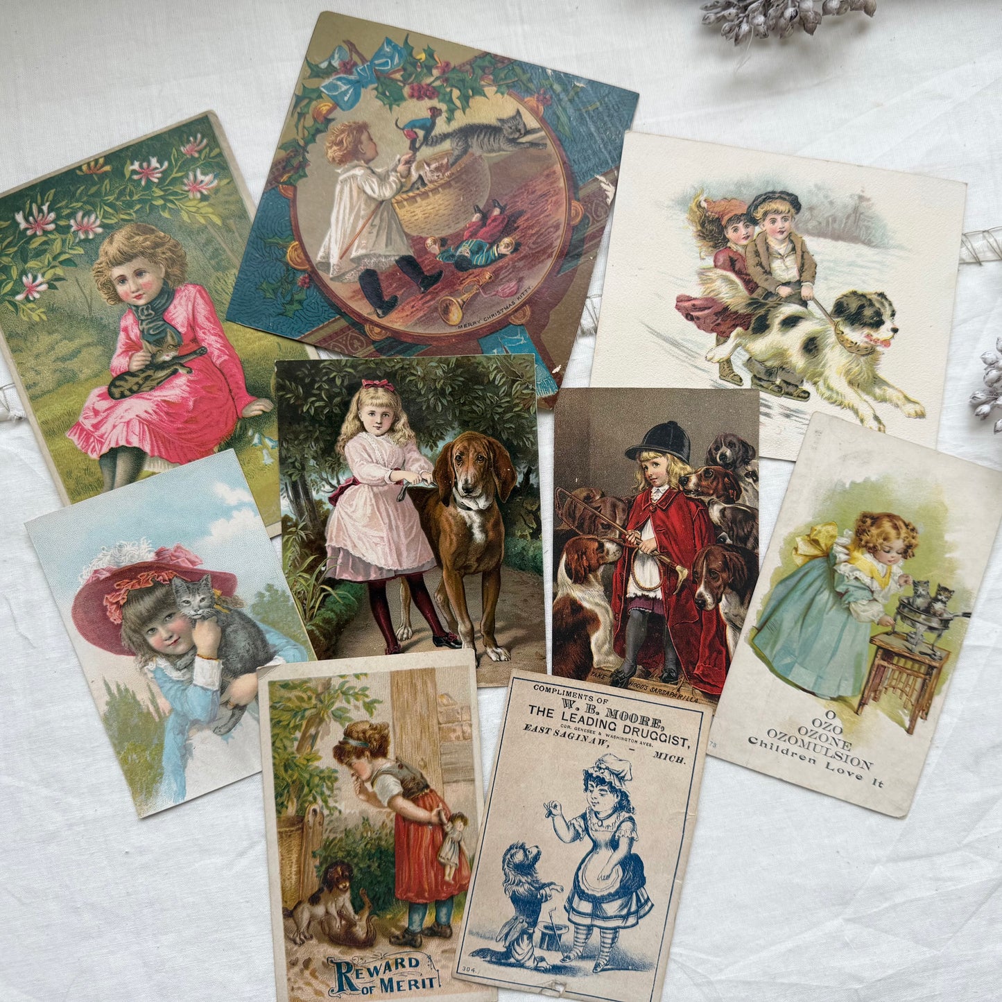 Vintage Trading Card Set