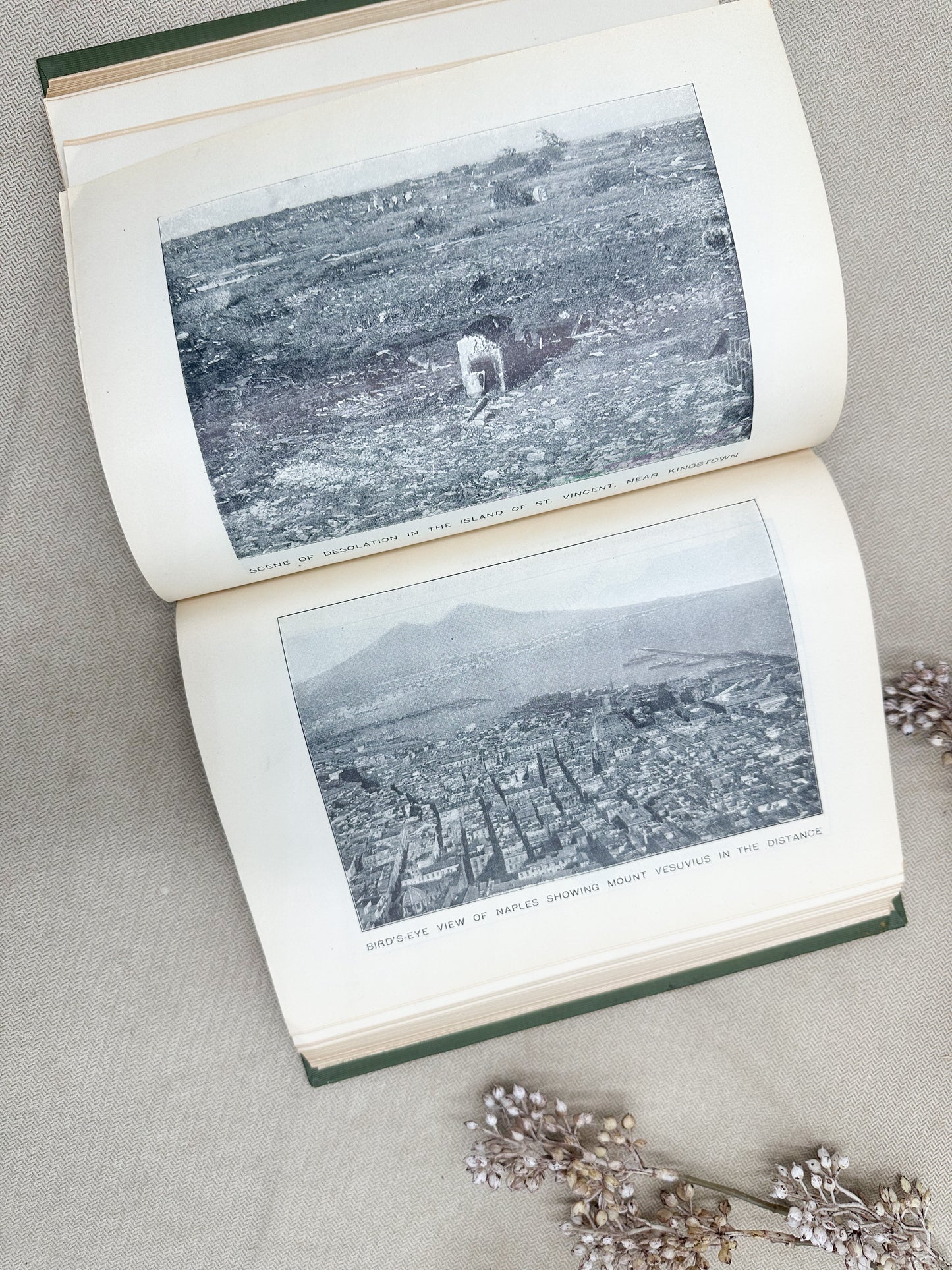 True Story of Martinique on St. Vincent Calamities- 1902