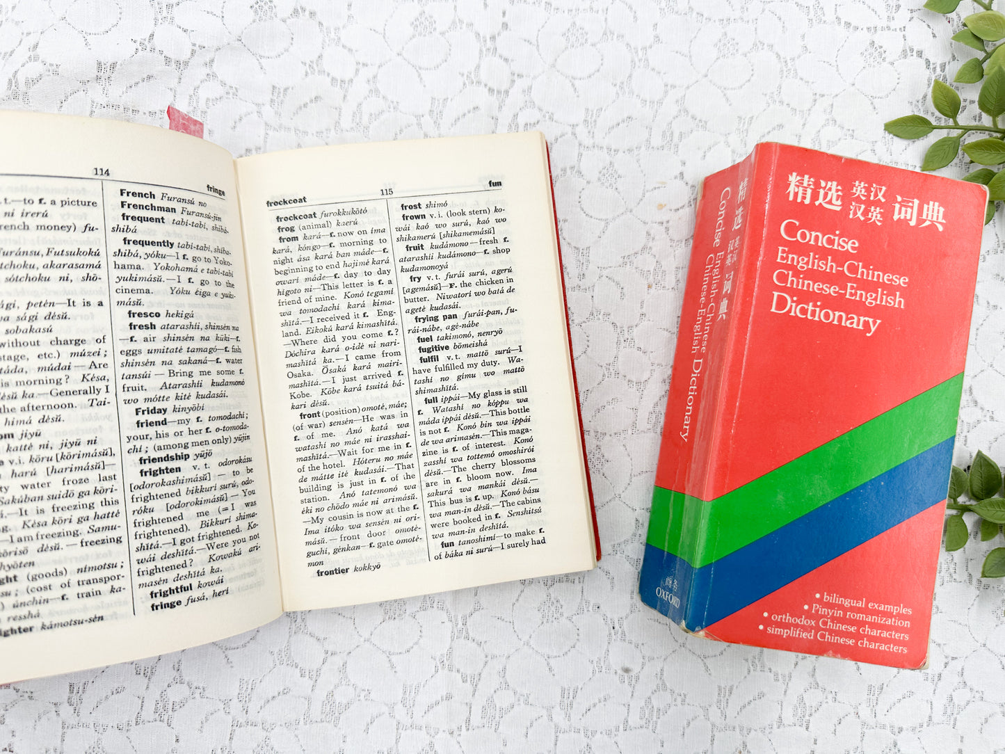 Foreign Language Dictionary Set
