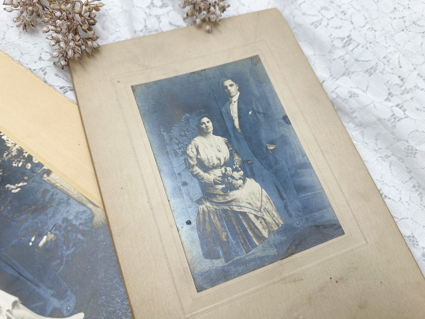Vintage Cabinet Card Set