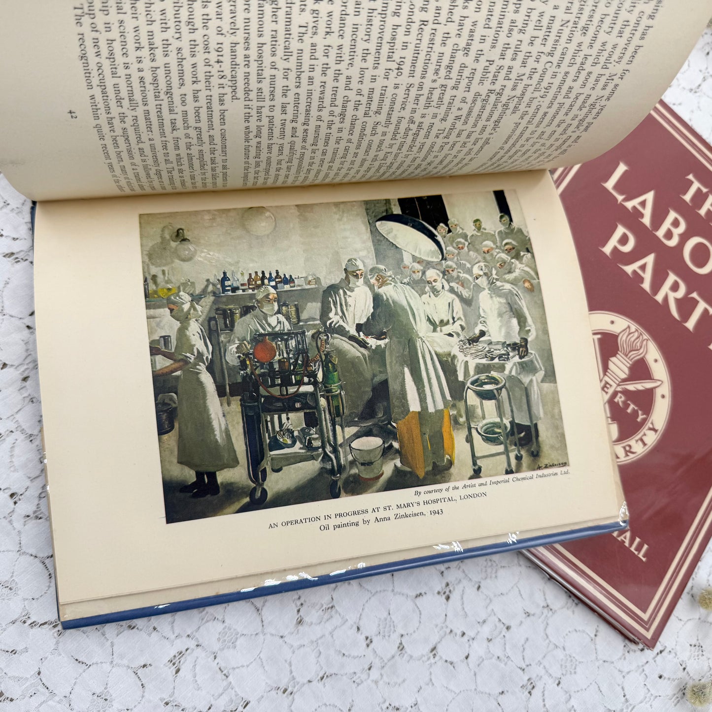Illustrated Book Set