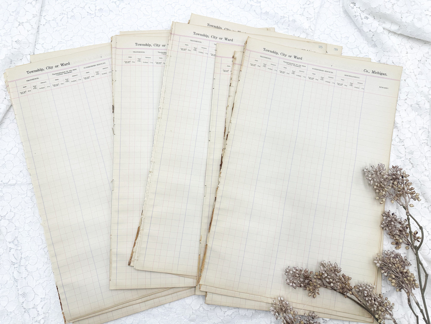 Vintage Ledger Township Page Pack (Set of 5)