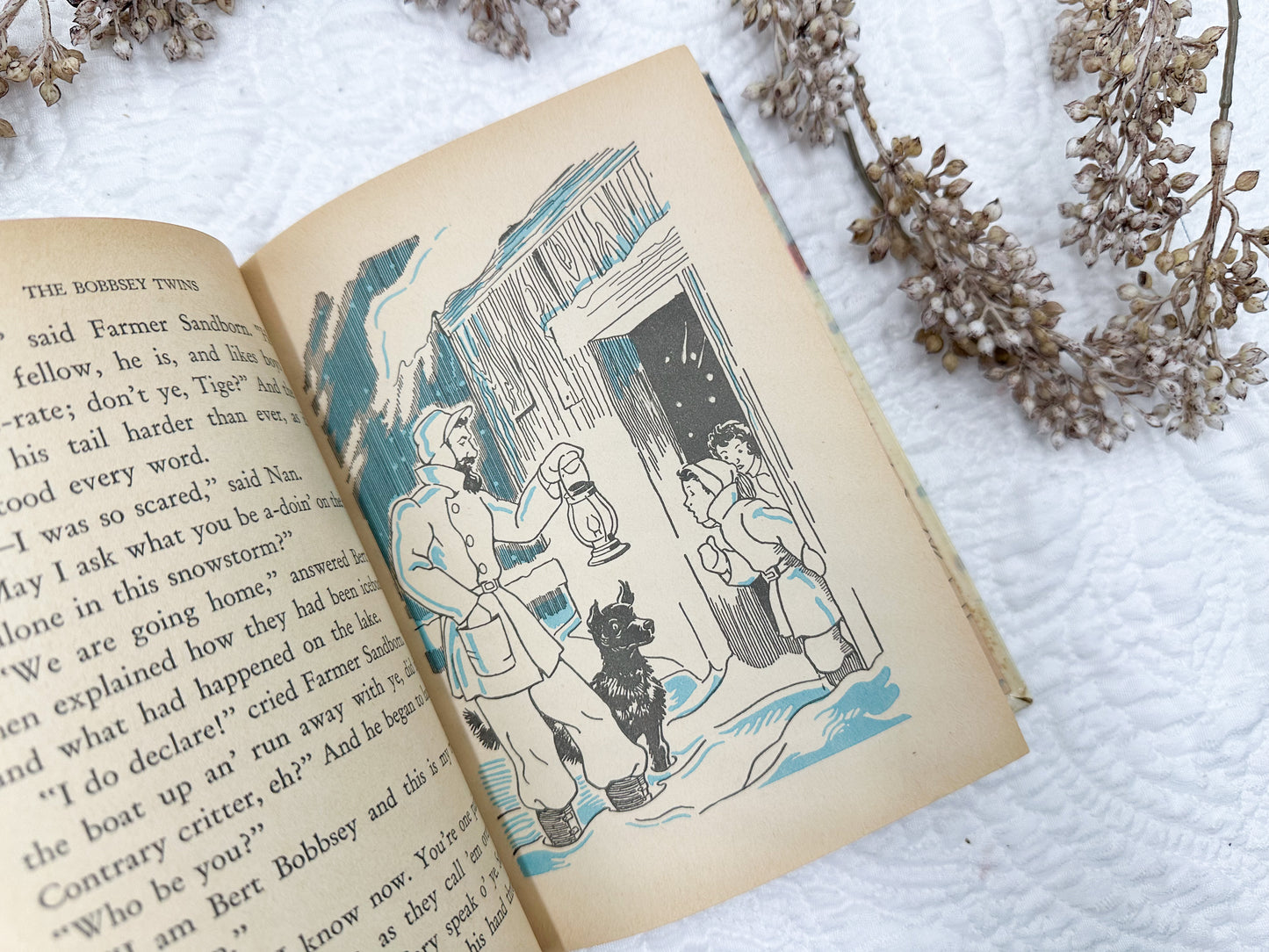 Vintage Bobbsey Twin Books (Set of Two)