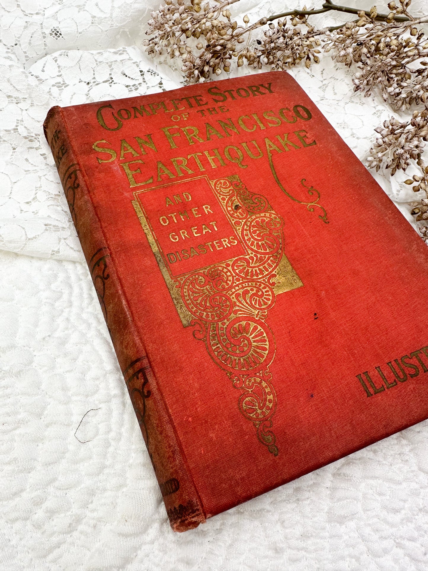 Complete Story of the San Francisco Earthquake