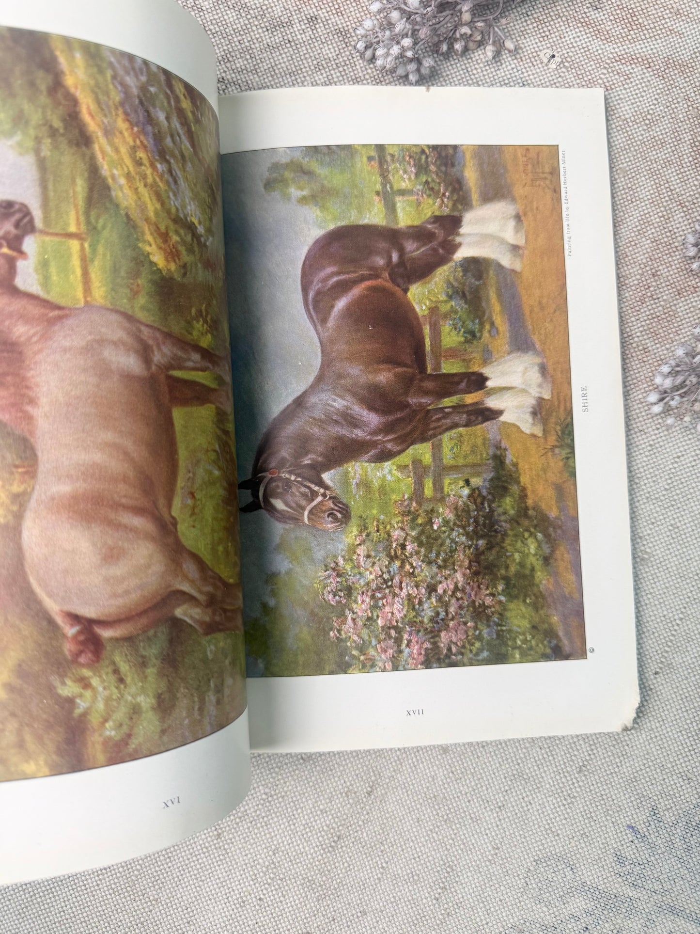 National Geographic Magazine