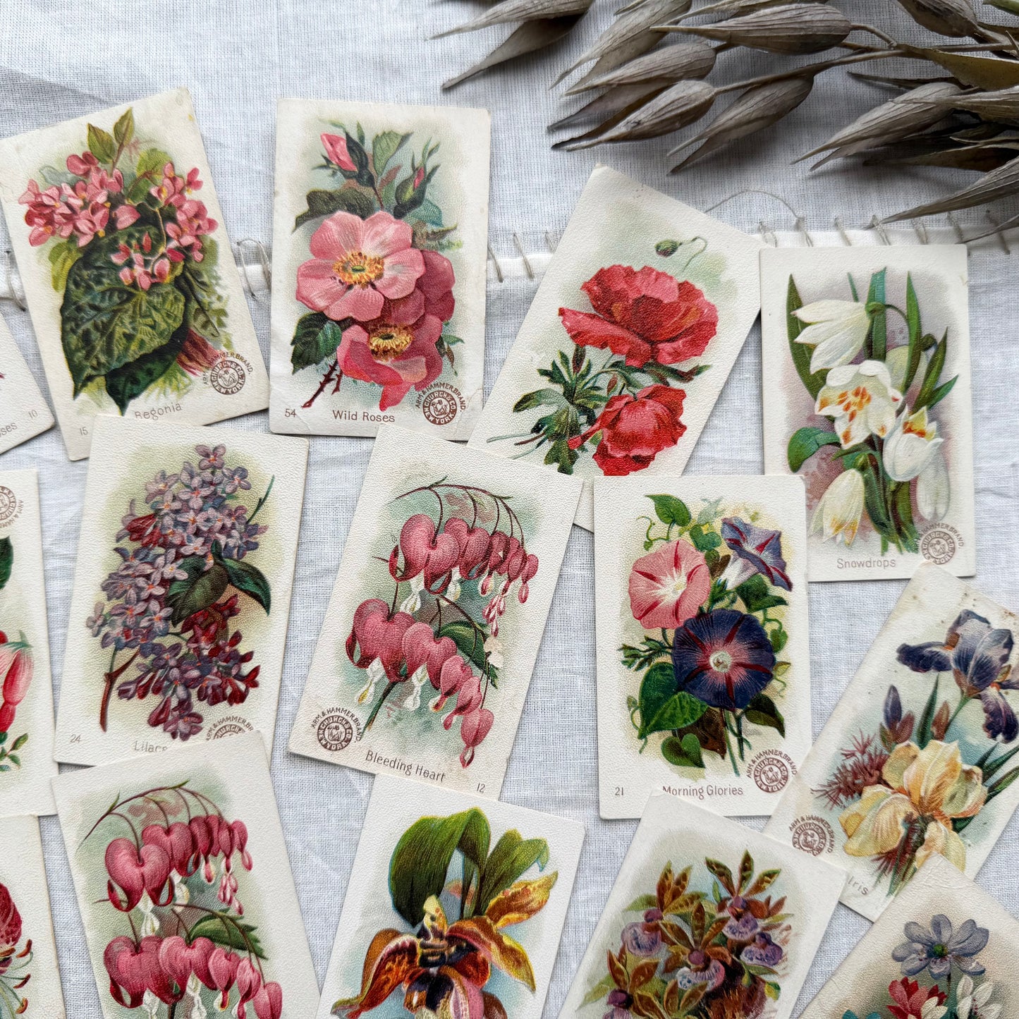 Vintage Floral Trading Card Set