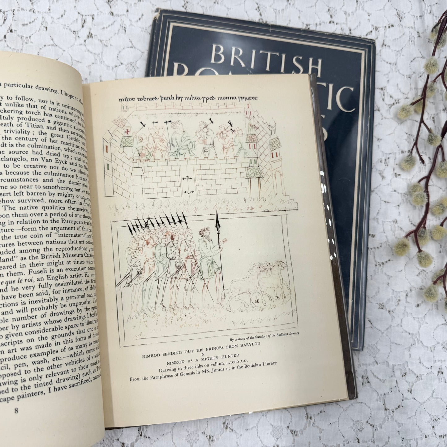 Illustrated Book Set