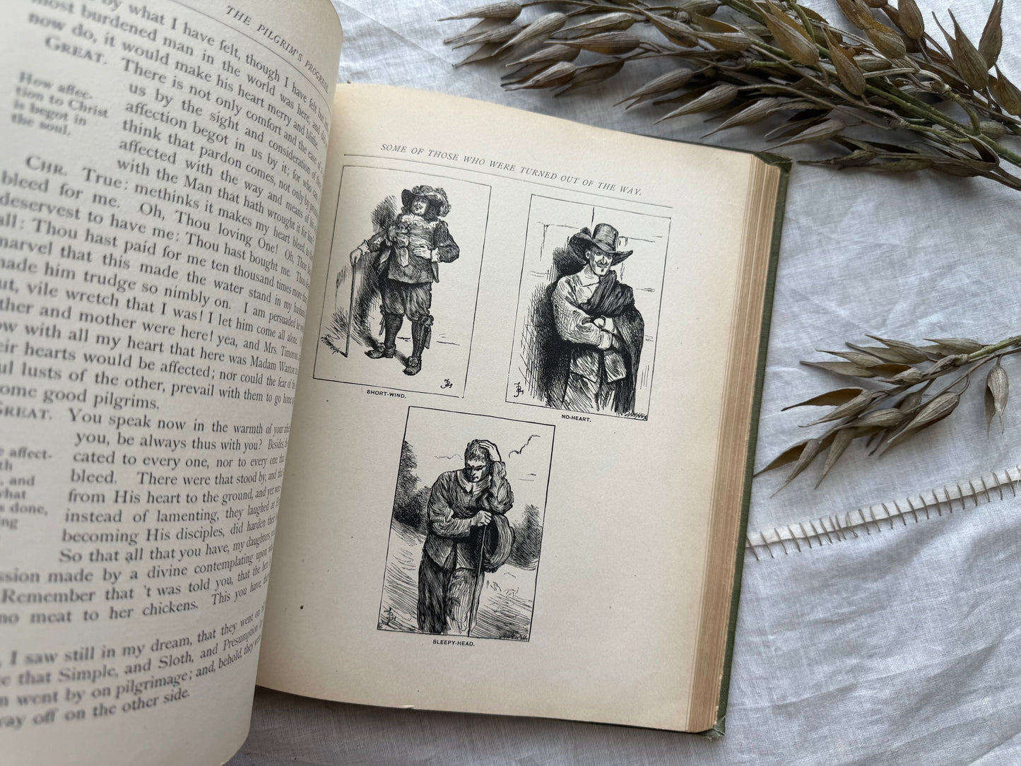 Illustrated Pilgrim's Promise