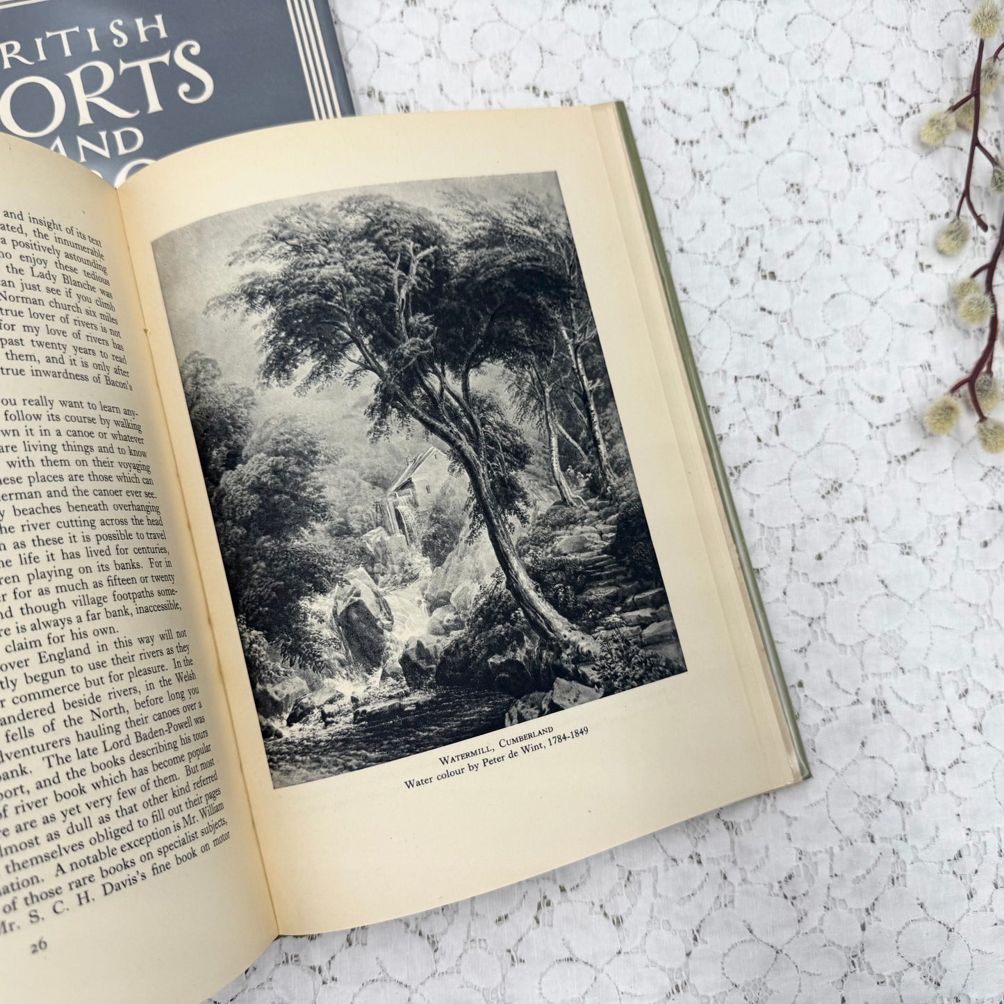 Illustrated Book Set