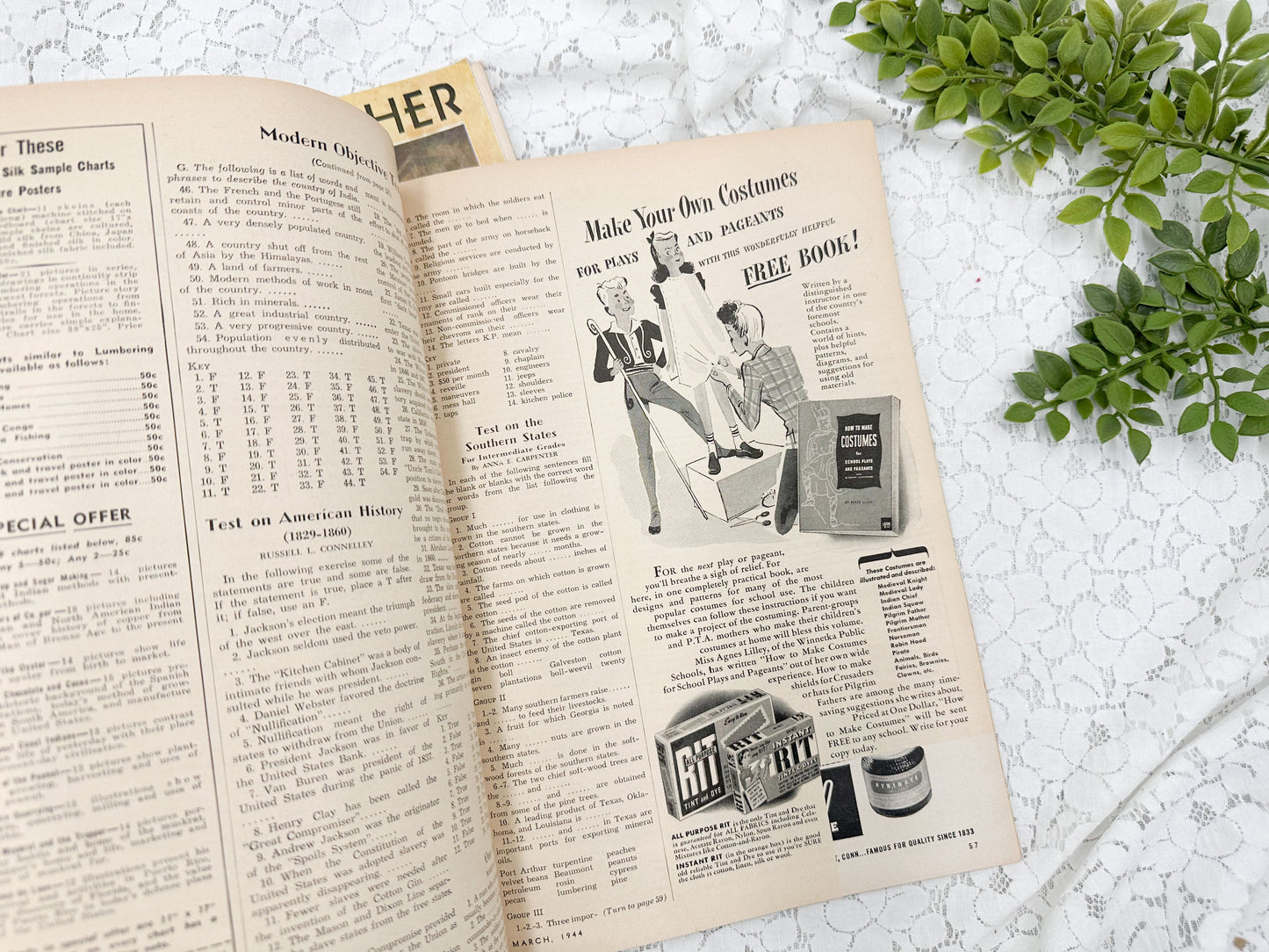 The Vintage Grade Teacher (Set of Two)