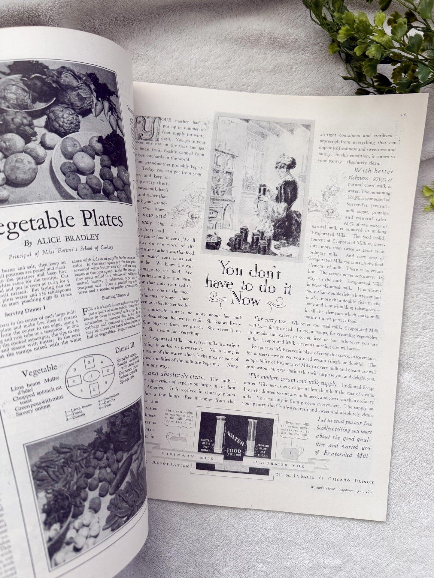 Vintage Woman's Home Companion Magazine