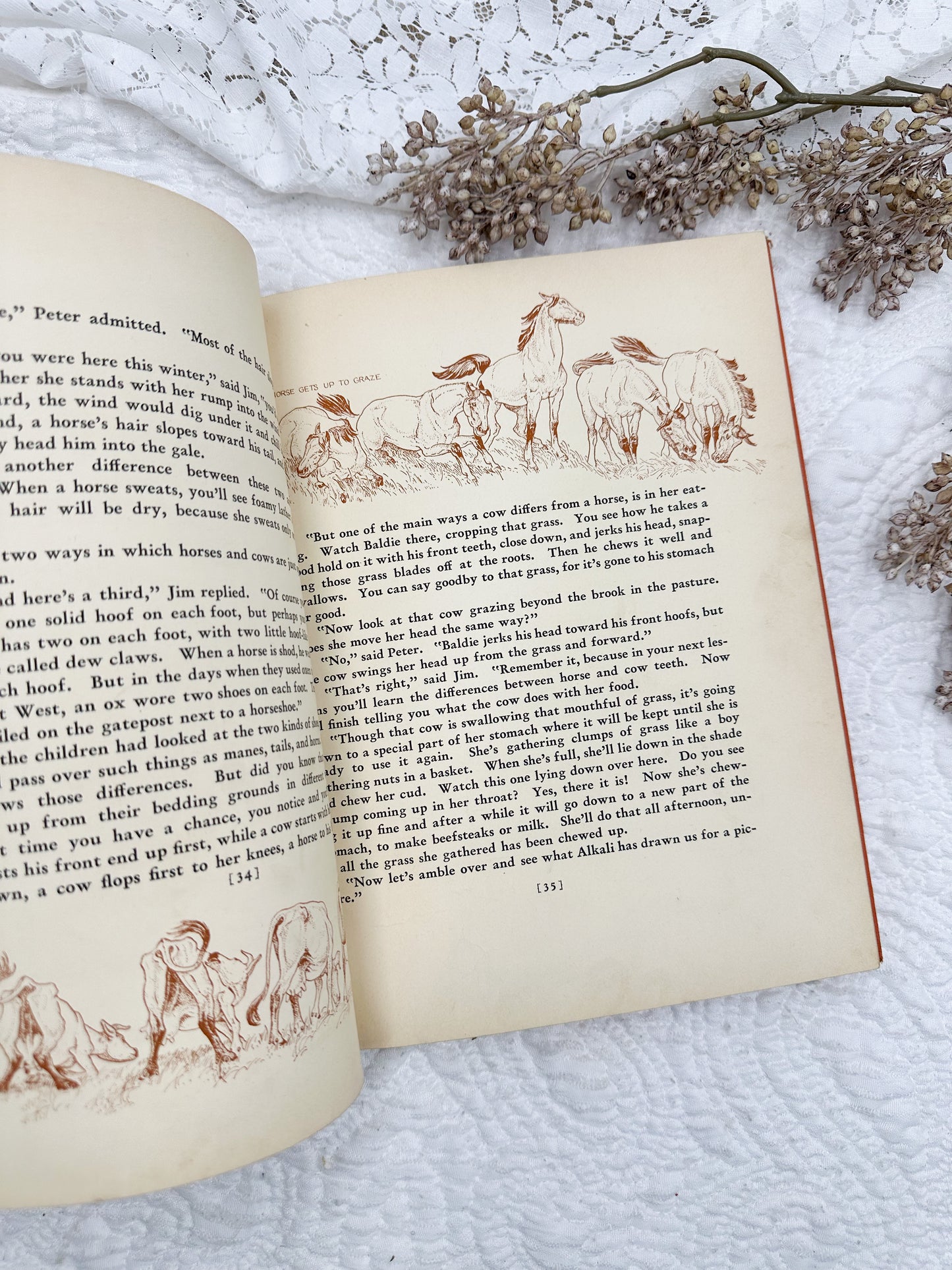 The Book of Cowboys