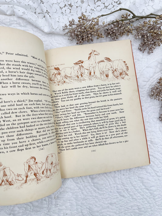 The Book of Cowboys