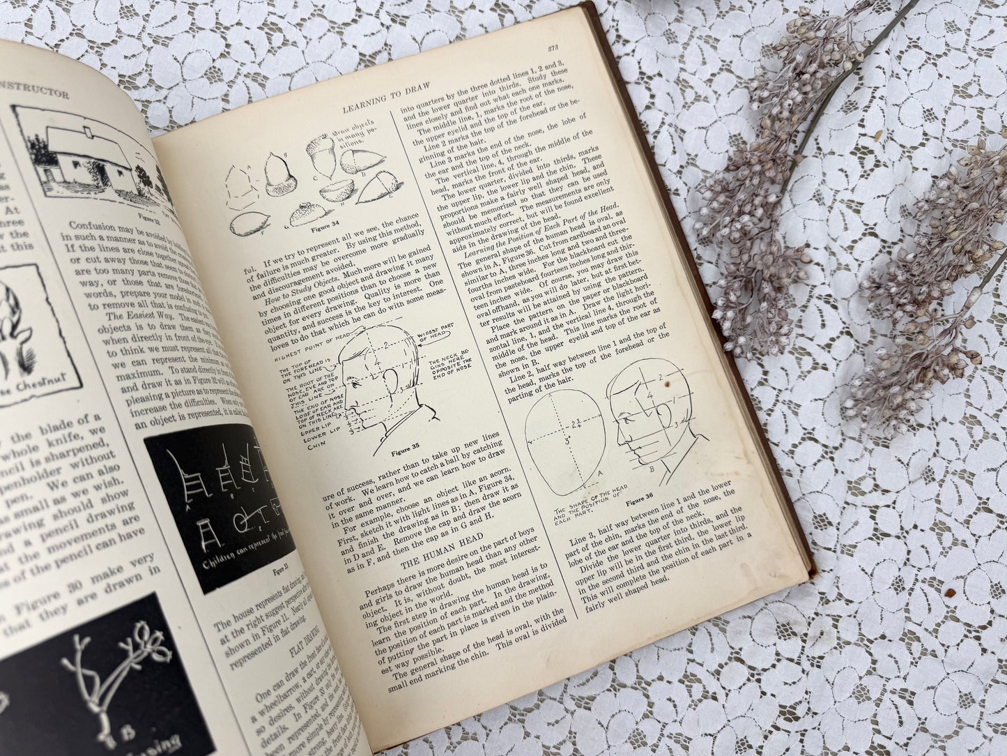 Junior Instructor Book