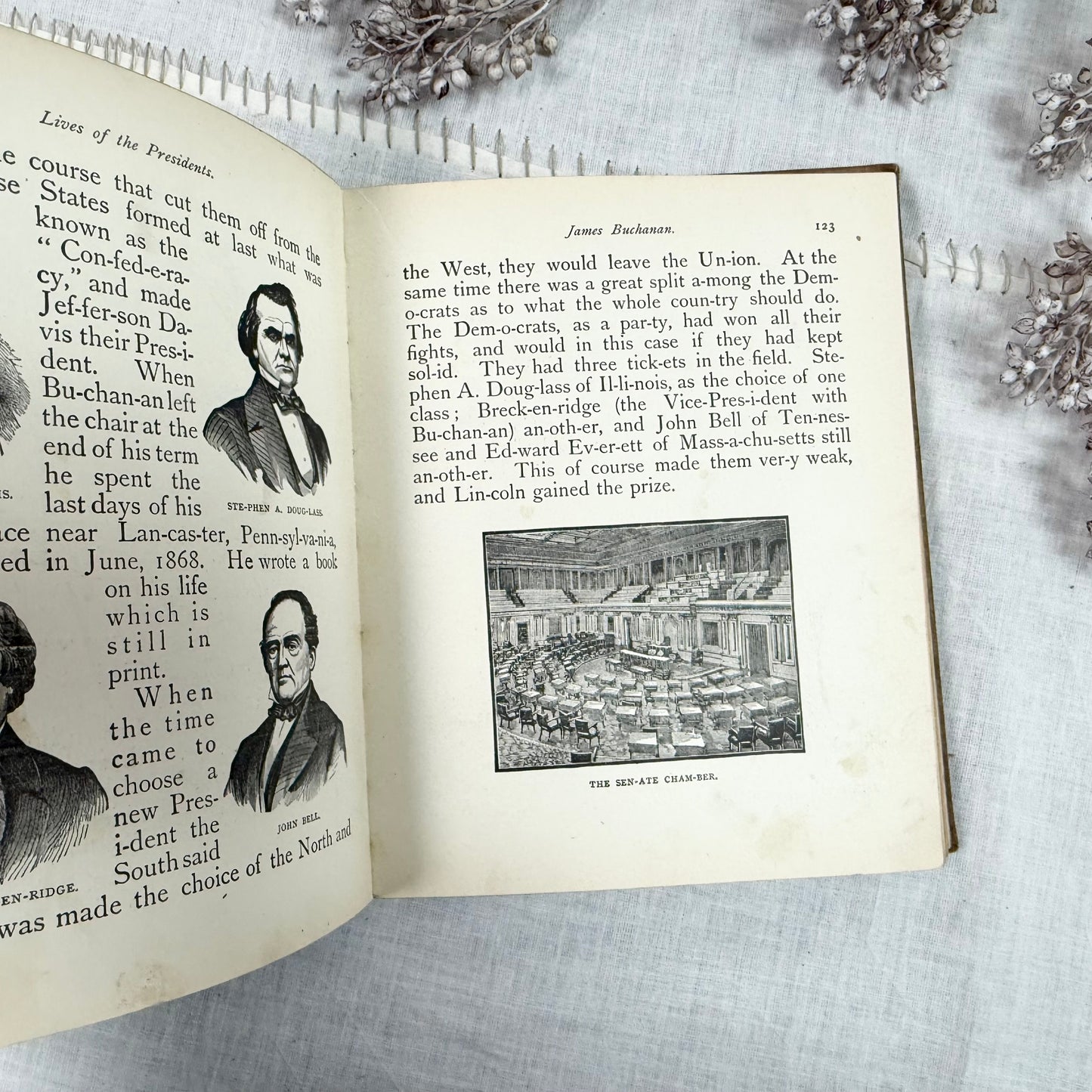 Lives of the Presidents