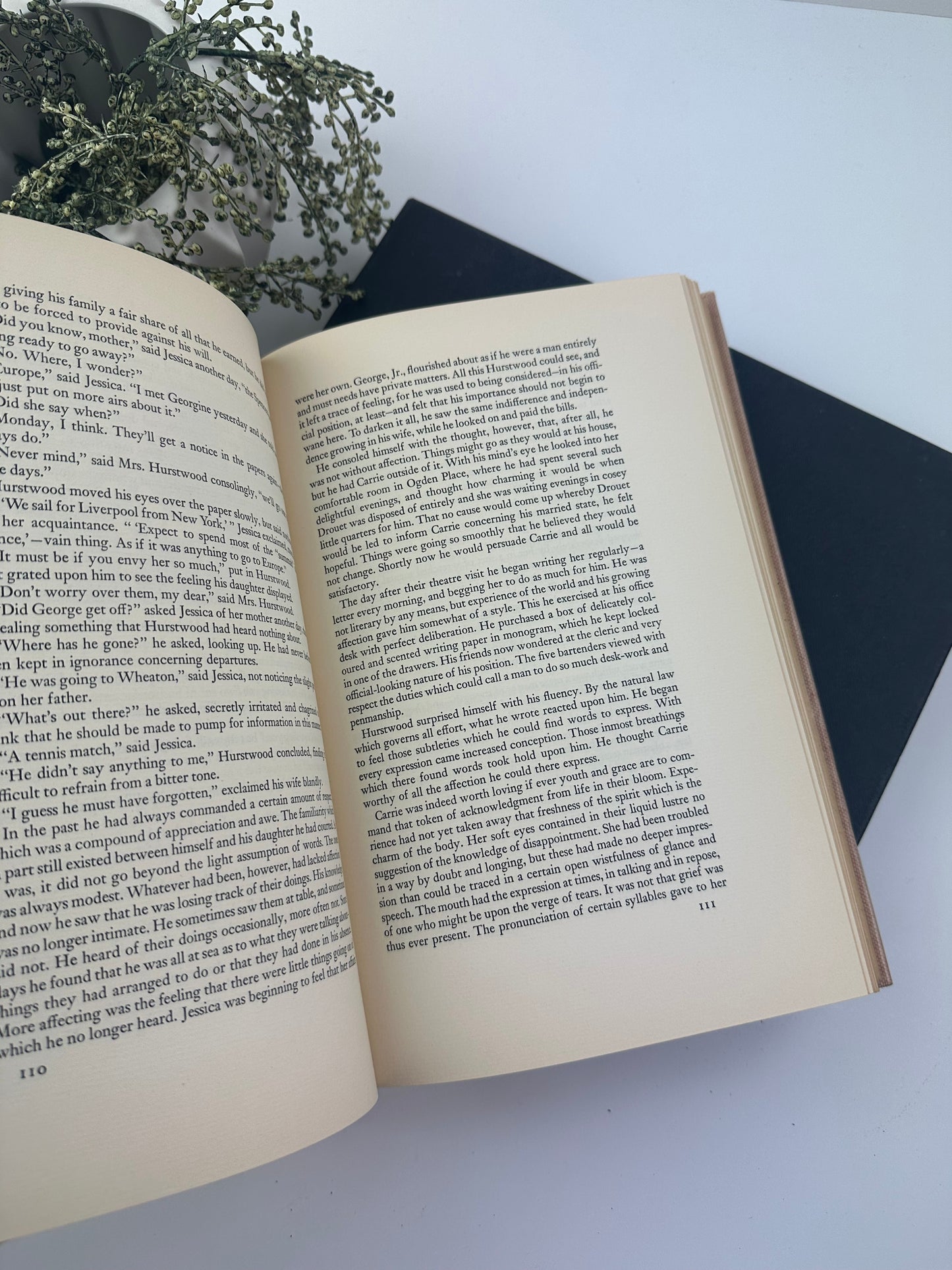 Sister Carrie by Theodore Dreiser