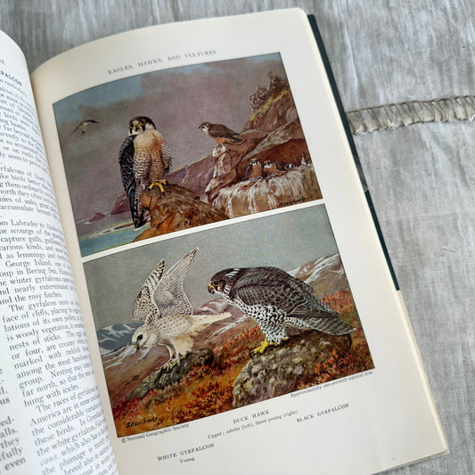 July 1933 National Geographic Magazine