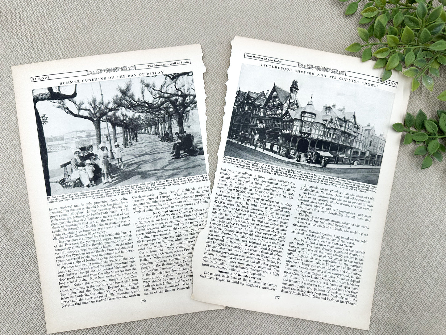Vintage Book Page Set- Architecture