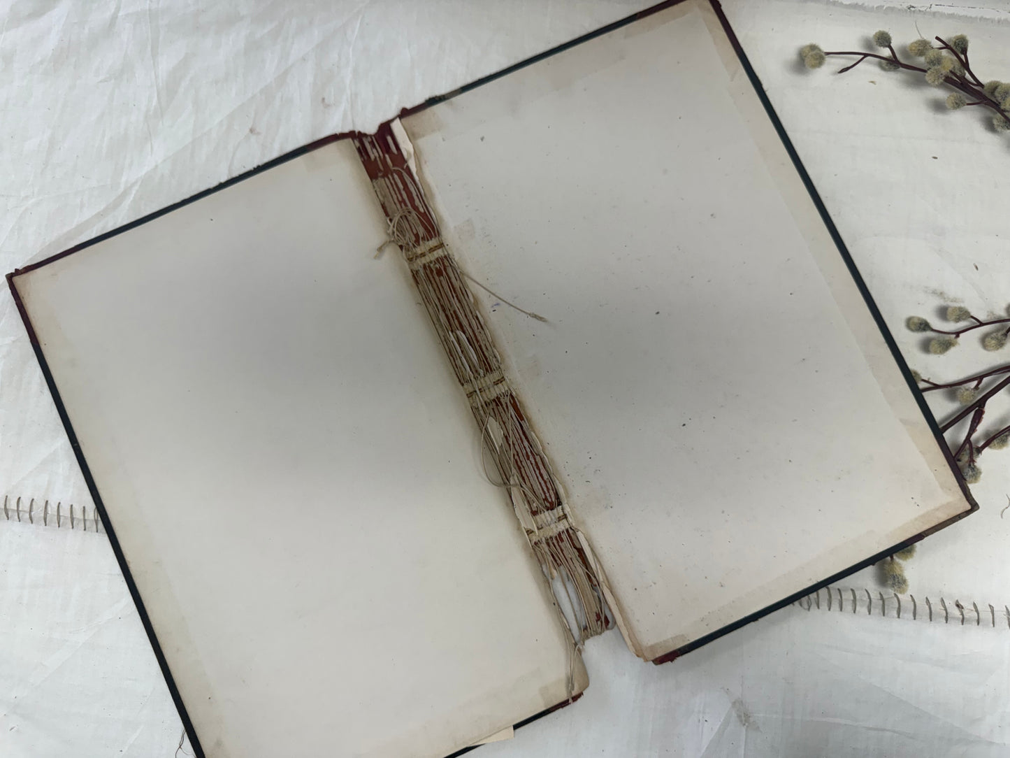 Vintage Book Cover