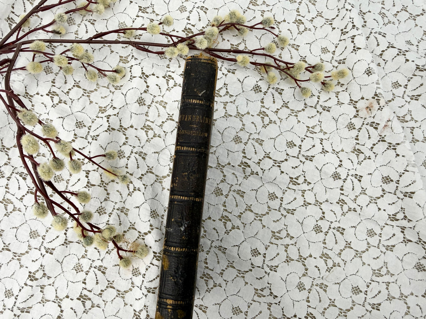 Illustrated Evangeline Book
